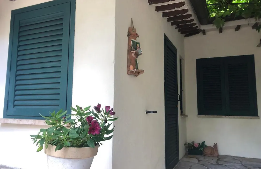 B&B Uva Fragola-1